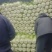 精品青茄子，土豆，红帽蒜苔，大白菜