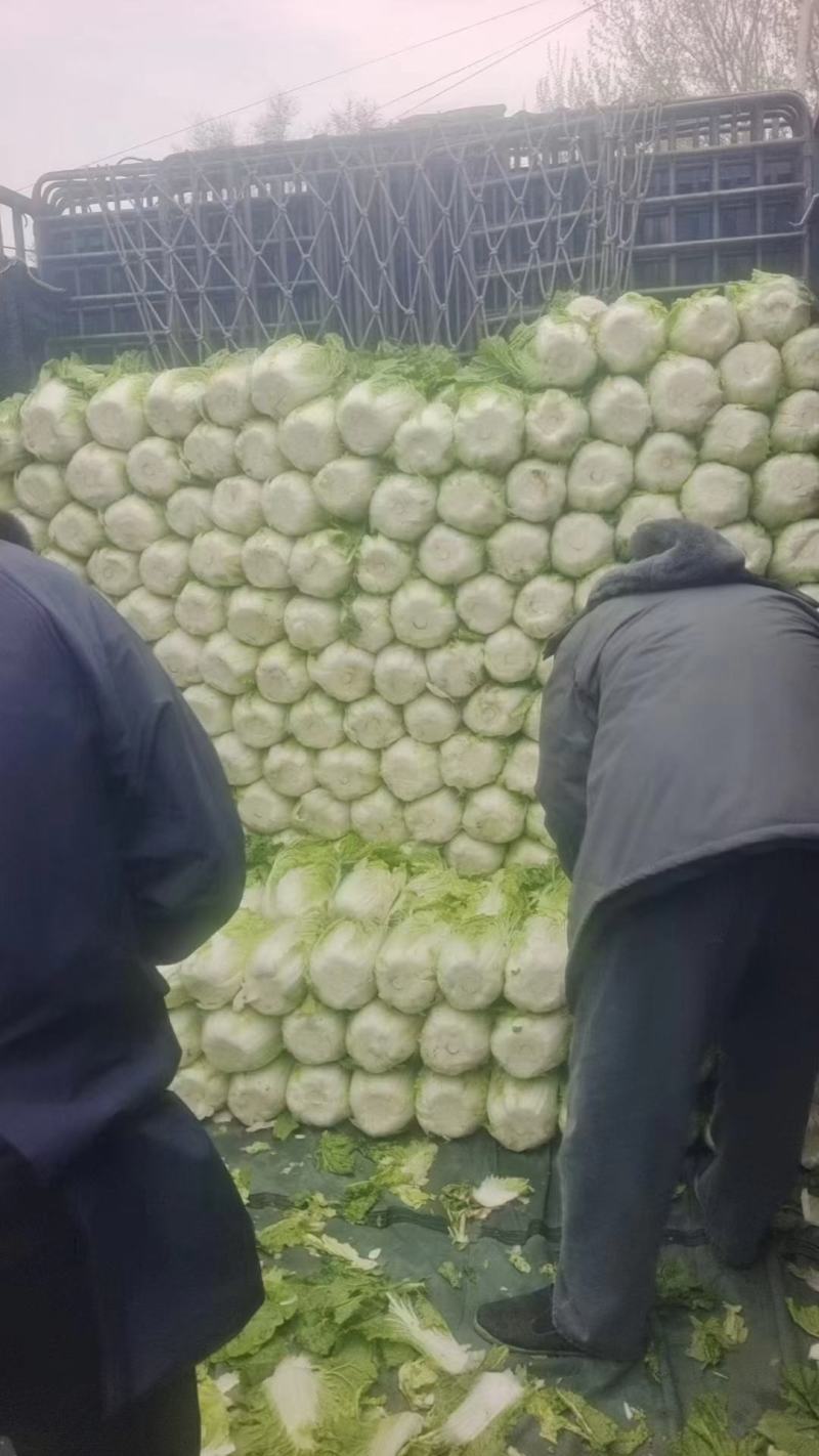精品青茄子，土豆，红帽蒜苔，大白菜