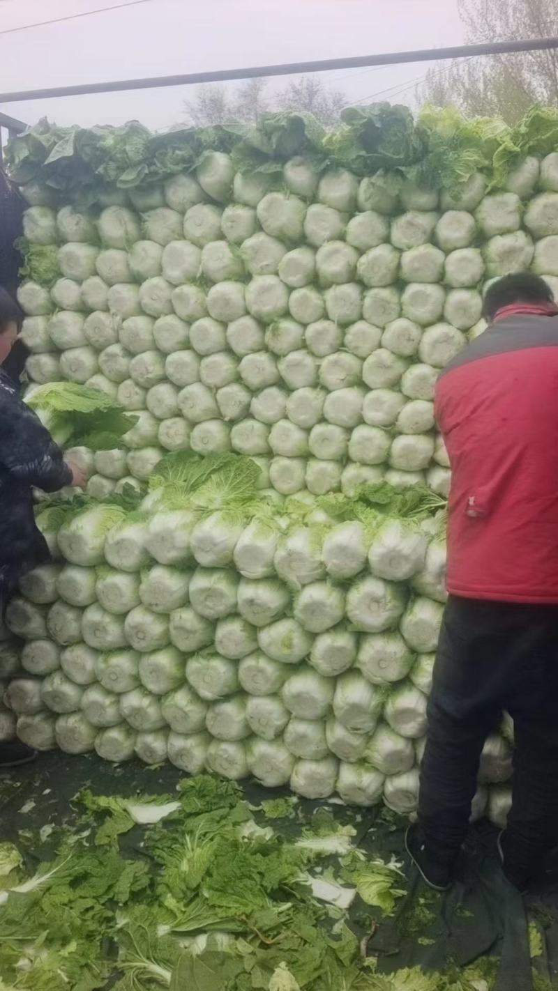 精品青茄子，土豆，红帽蒜苔，大白菜