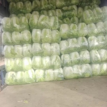 精品青茄子，土豆，红帽蒜苔，大白菜