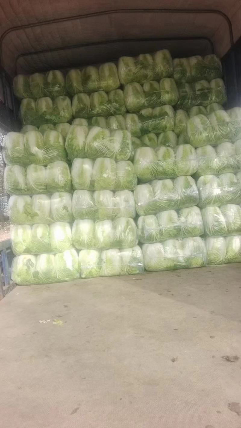 精品青茄子，土豆，红帽蒜苔，大白菜