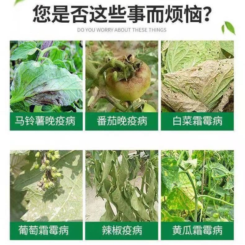 汉邦酷典烯酰吗啉氰霜唑蔬菜葡萄黄瓜霜霉病晚疫病农药杀菌剂