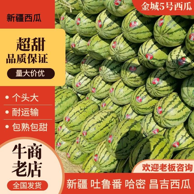[金城5号西瓜批发]新疆昌吉昌吉市西瓜 0.20元/斤【推荐】新 _ 一亩田