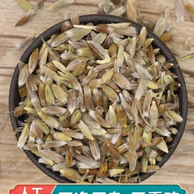 野生苍术种籽正品W材北苍术种子新鲜苍术种植带朱砂点含量