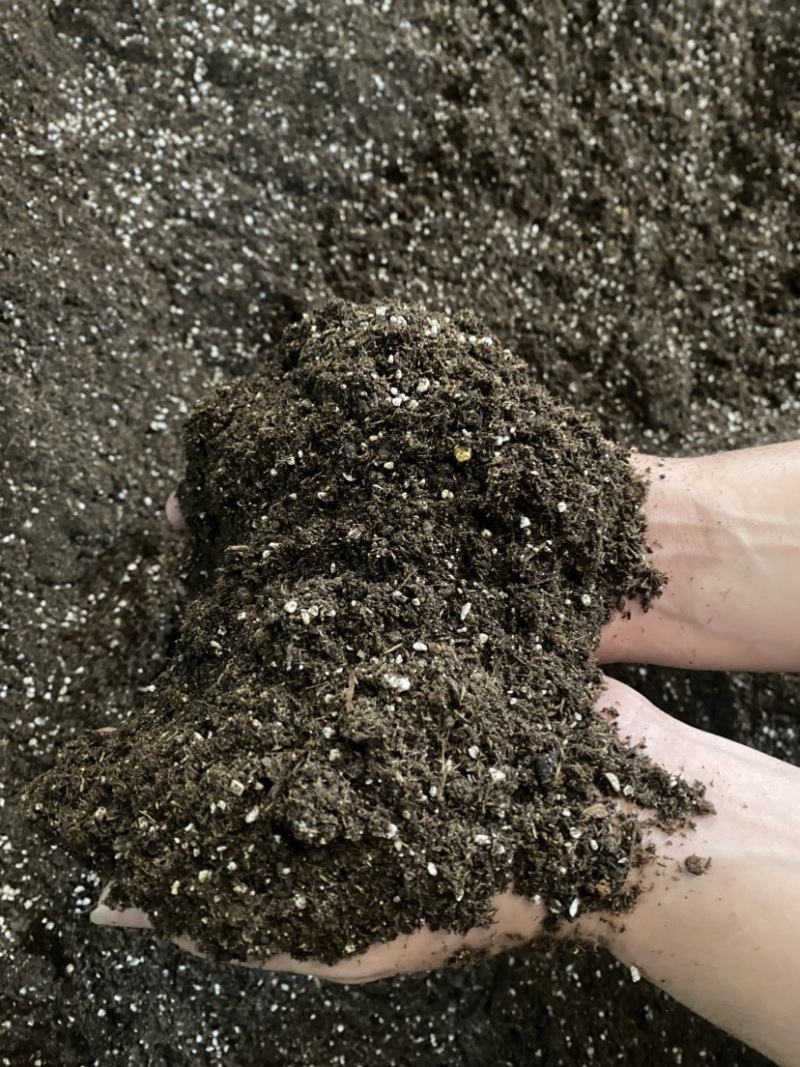 瓜果、蔬菜、辣椒育苗基质