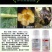 迅脉3%多杀霉素甘蓝茄子蔬菜花卉草莓蓟马杀虫剂