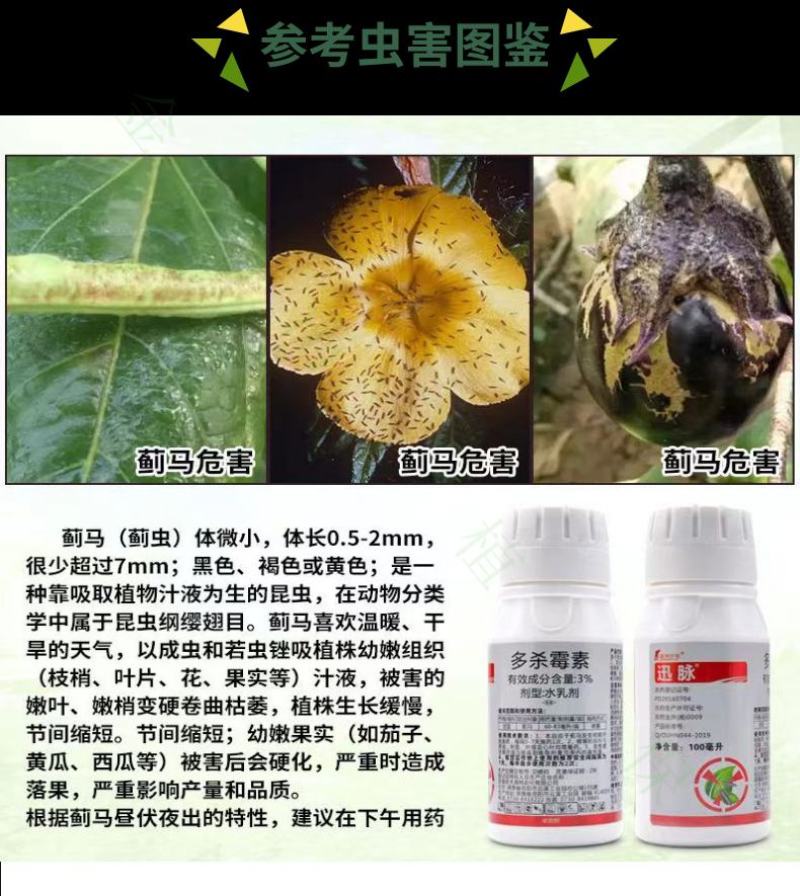 迅脉3%多杀霉素甘蓝茄子蔬菜花卉草莓蓟马杀虫剂