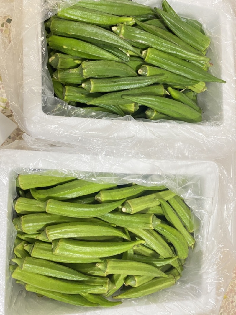 菜花，圣女果，白金黄瓜，秋葵，四季豆，大葱，卷心菜，