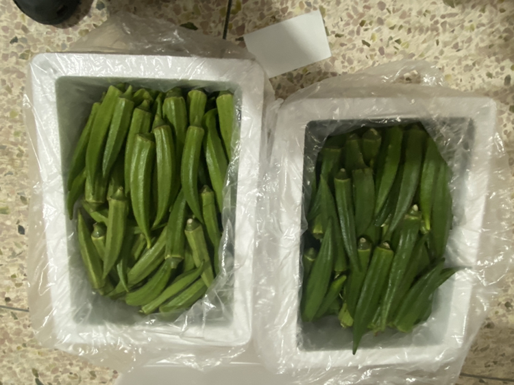 清炒圆包菜成品图