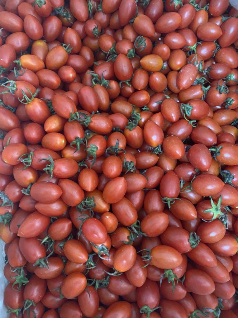 菜花，圣女果，白金黄瓜，秋葵，四季豆，大葱，卷心菜，