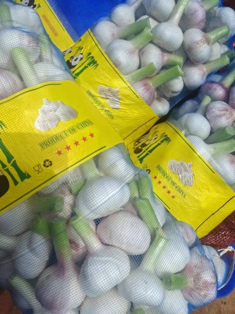 杞县早熟蒜，土蒜，扒皮蒜