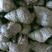 潜江螺蛳，湖区特产，个大壳薄，味道鲜美，可发全国各地。