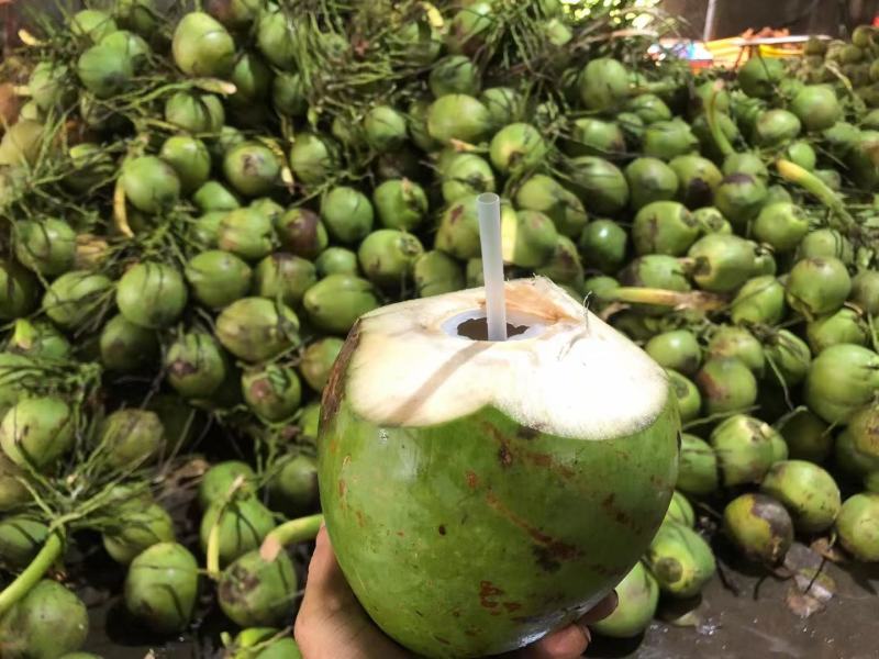 海南椰子，带皮椰青精品椰子货量充足全国发货欢迎致电