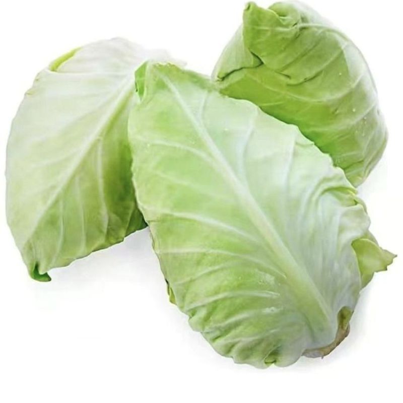 蔬菜