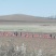 内蒙古太仆寺旗水浇地1500亩