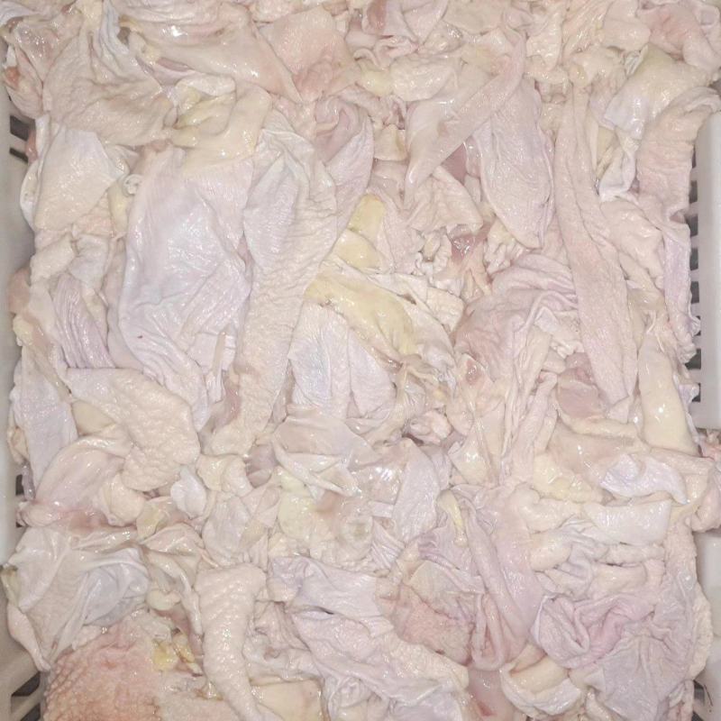 精品老鸡鸡胸皮大量有货品质保证，产地直发，可视频看货