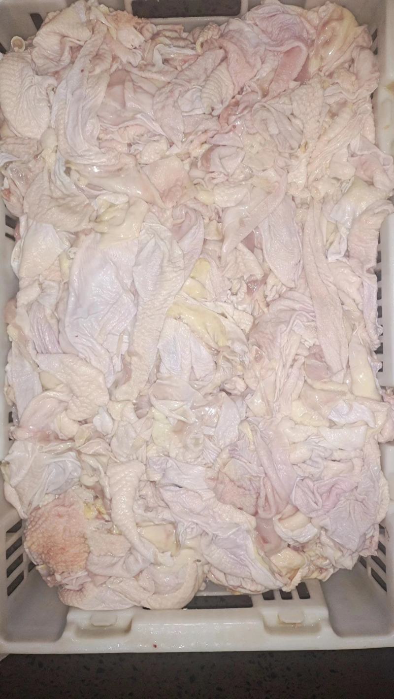 精品老鸡鸡胸皮大量有货品质保证，产地直发，可视频看货