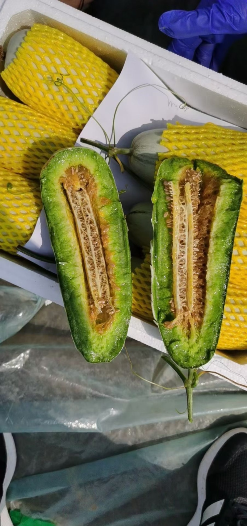 （头茬）博洋9博洋9博洋61羊角蜜各种甜瓜大量供应