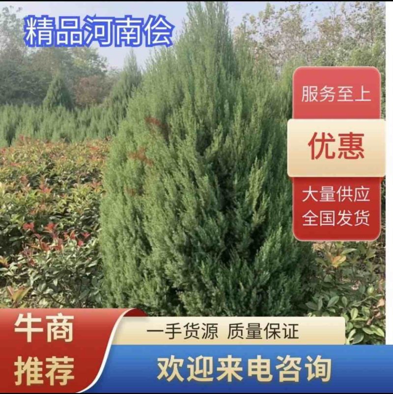 【3米5】精品河南侩大量有货品质良好规格齐全欢迎选购