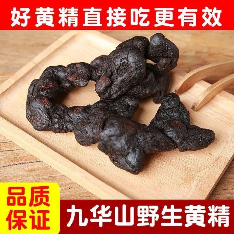 九华山野生黄精九蒸九晒质子肉糯头中药材熟养生滋补泡茶即食