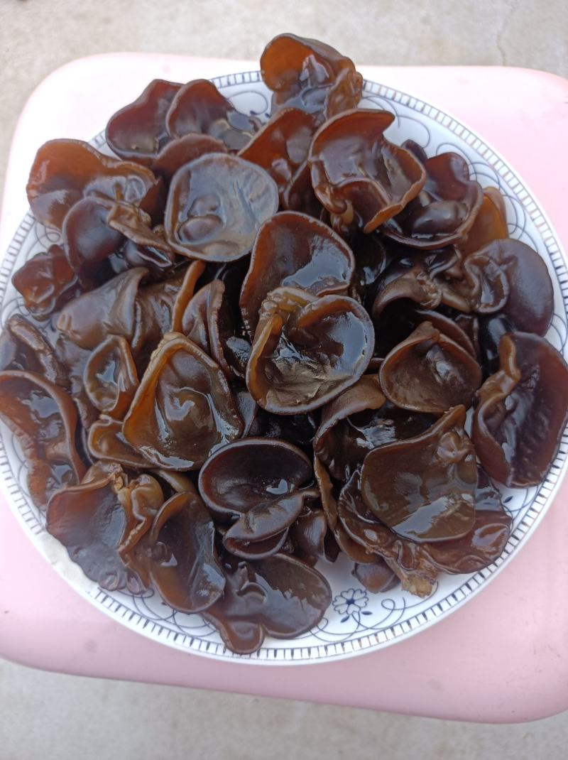 精品黑木耳秋木耳东北特产欢迎大家光临