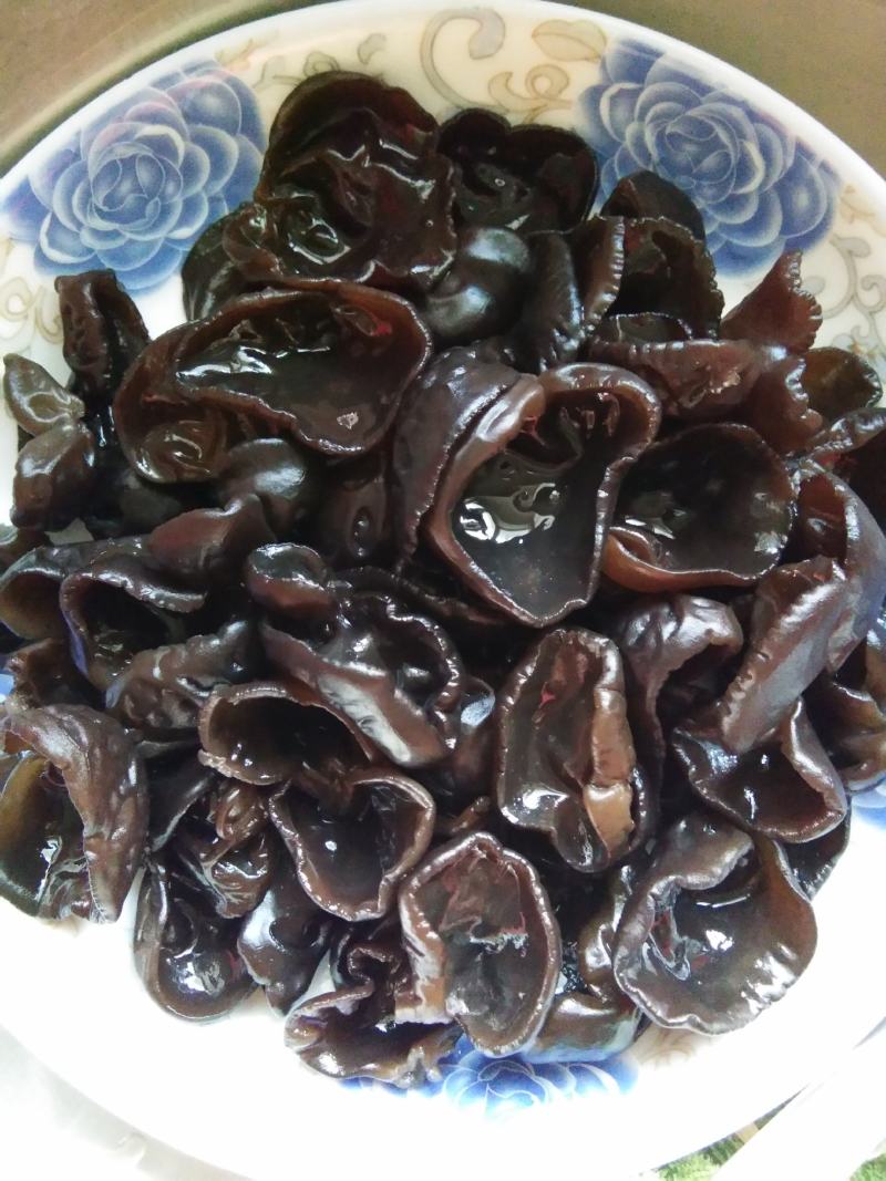 精品黑木耳秋木耳东北特产欢迎大家光临