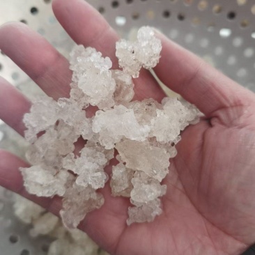 雪燕