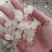 雪燕