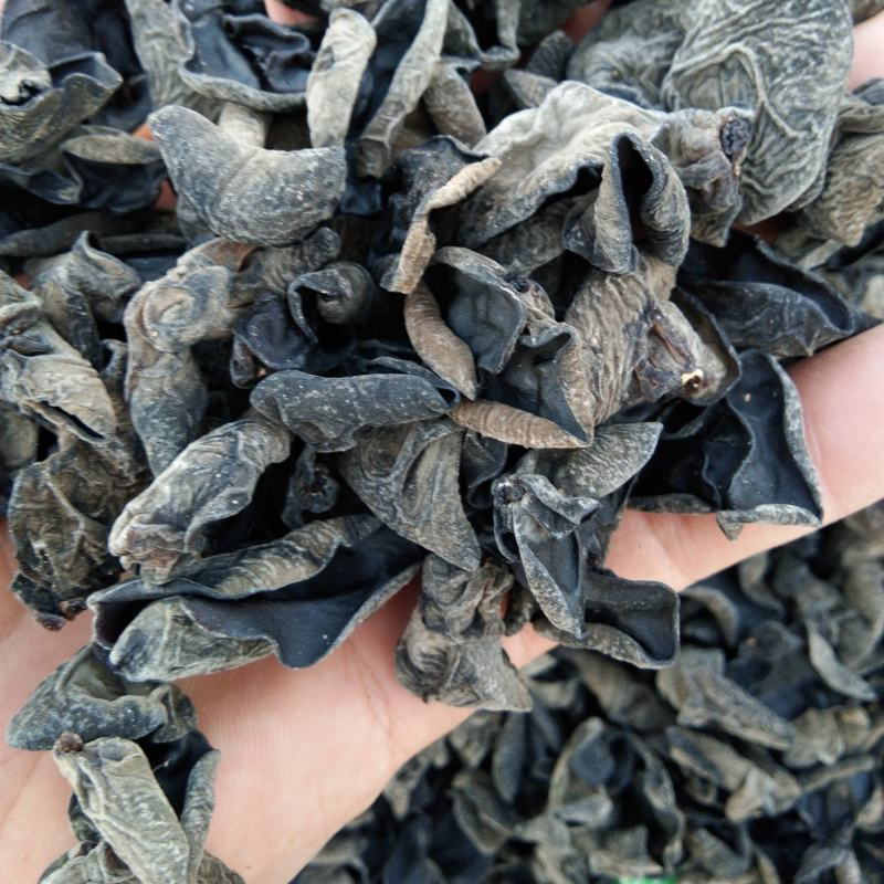 【精品】东北产地直供黑木耳品质保障产地直发