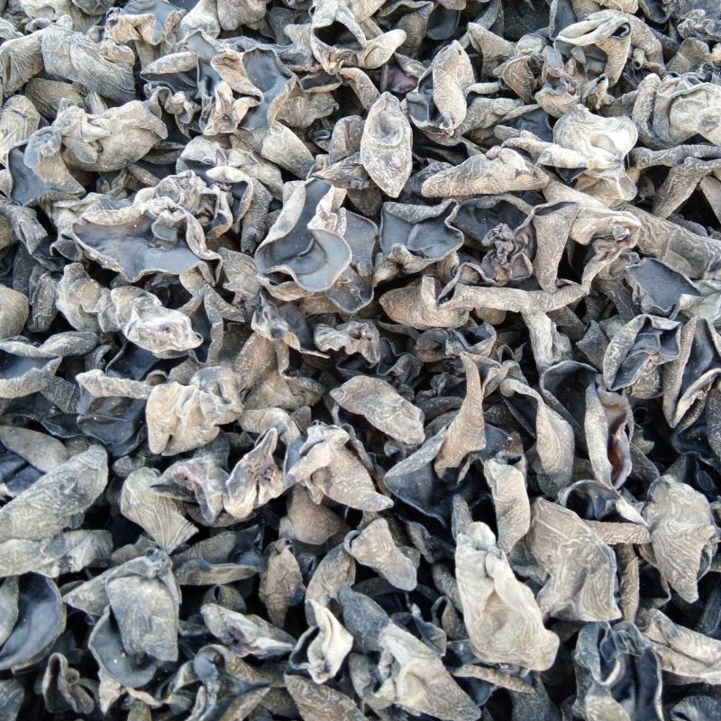 【精品】东北产地直供黑木耳品质保障产地直发