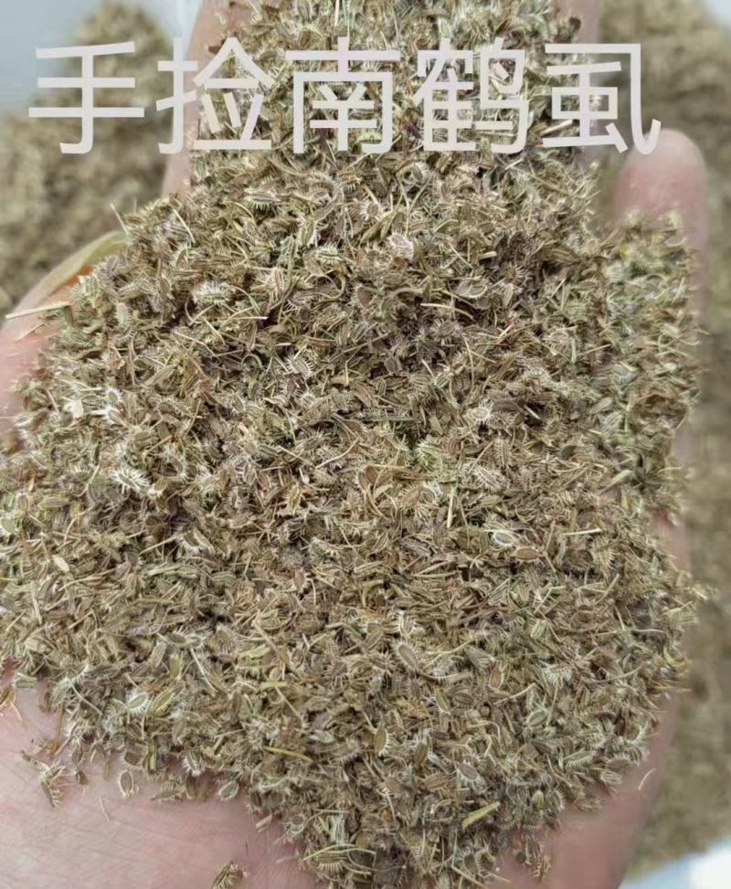 南鹤虱
