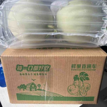 山东玉菇甜瓜直播带货一件代发品质货支持各种包装