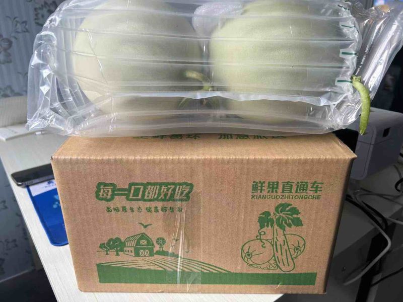山东玉菇甜瓜直播带货一件代发品质货支持各种包装
