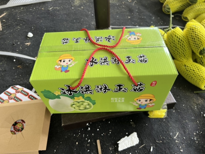 山东玉菇甜瓜直播带货一件代发品质货支持各种包装