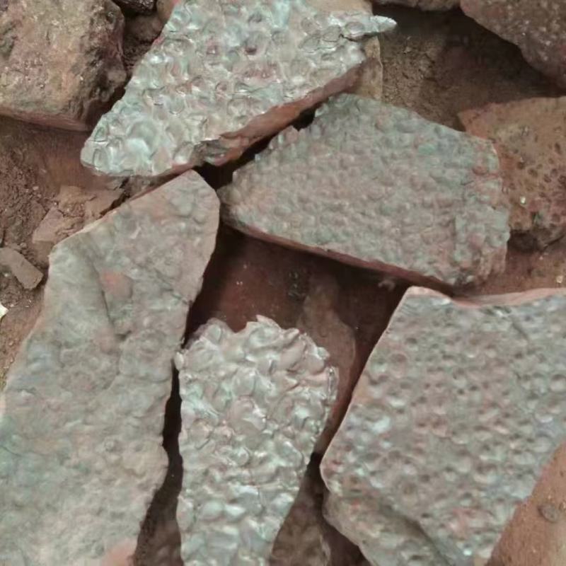 牡蛎赭石琥珀米珍珠母，石决明瓦楞子磁石石膏