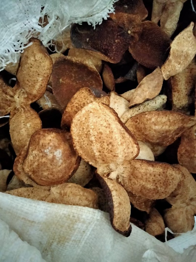 陈皮，小柑胎，