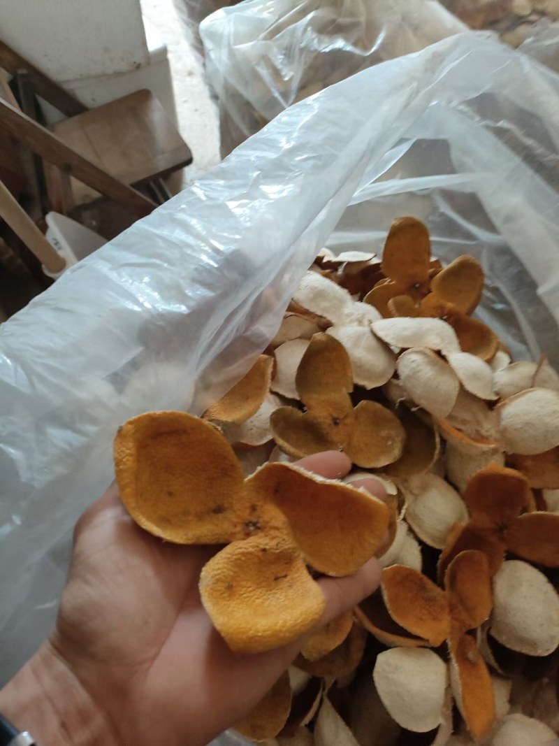 陈皮，小柑胎，