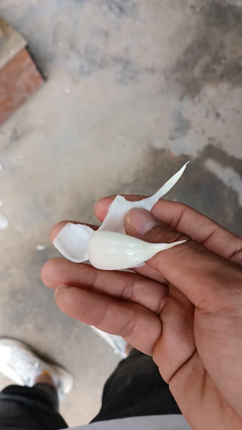 鲜蒜