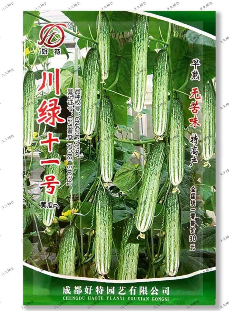 好特川绿十一号黄瓜种子无苦味绿白黄瓜早熟高产春季田园蔬菜