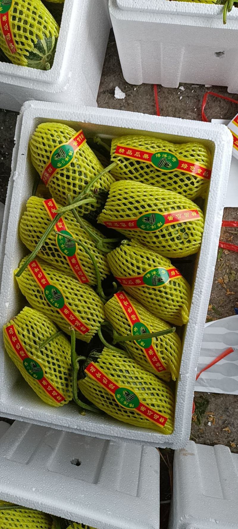 博洋九号，大量上市，一手货源，可视频验货，山东菏泽发货
