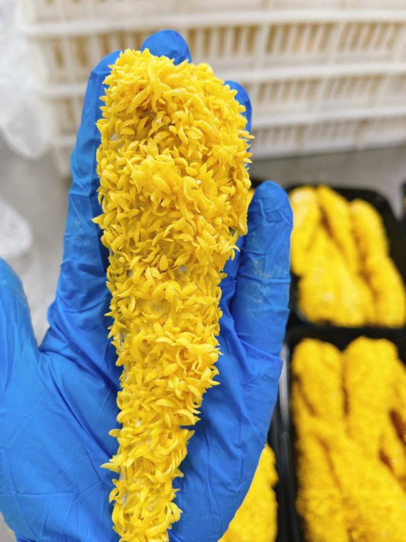 【鱼排】黄花鱼鱼排品质货源炸鱼排鲜鱼制作欢迎下单