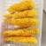 【鱼排】黄花鱼鱼排品质货源炸鱼排鲜鱼制作欢迎下单