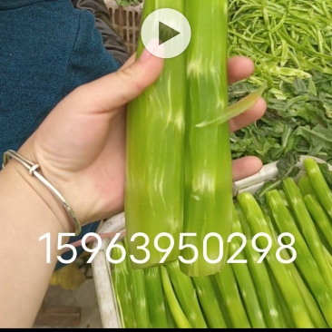 莴笋肉