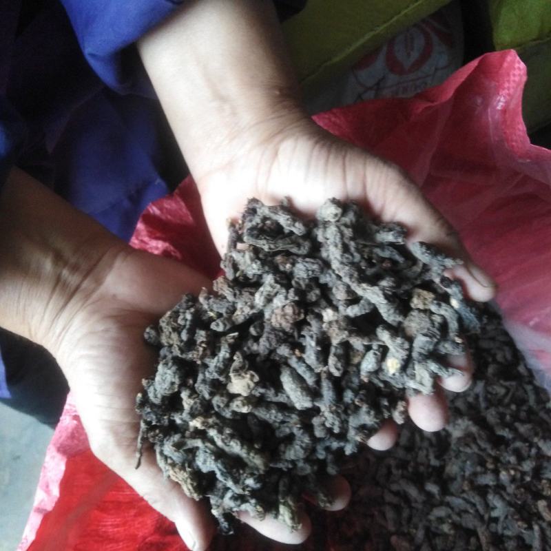 天葵子，道地药材，质量好，含量高，欢迎咨询洽谈合作