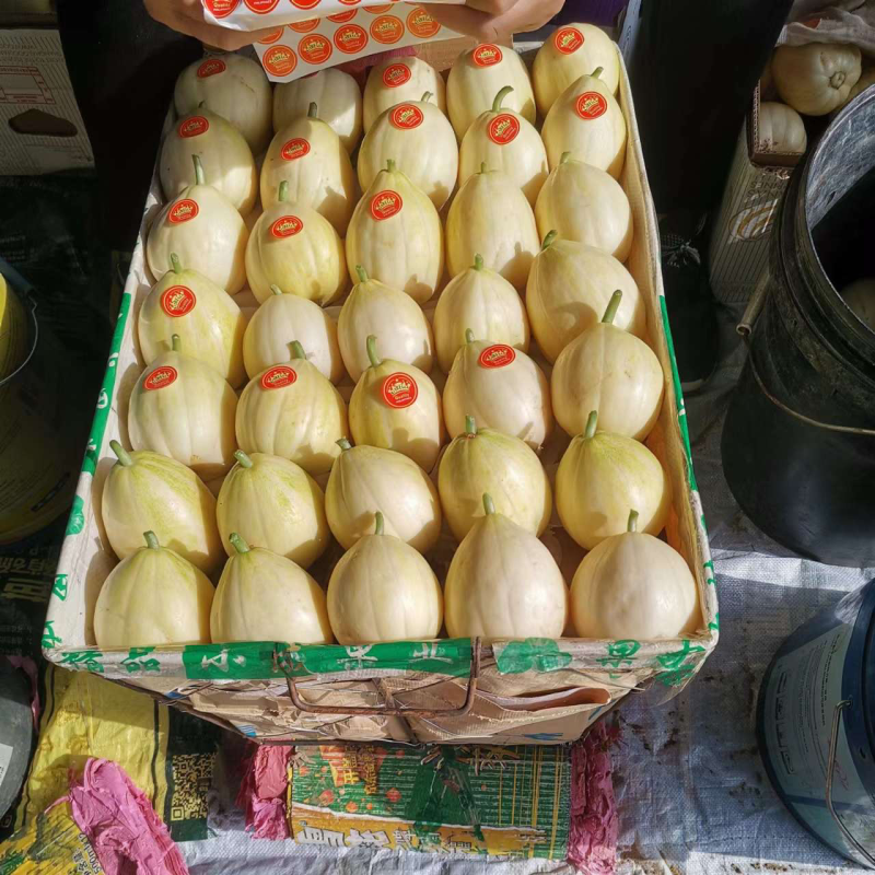 香瓜、甜瓜