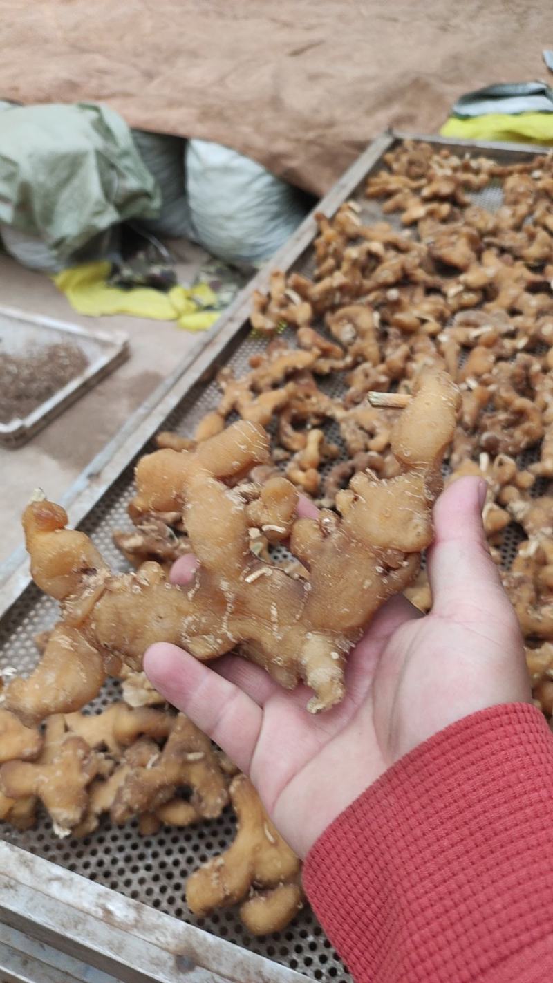 黄精干个，黄精片，50克以上的精品，颜色漂亮，肉质饱满。