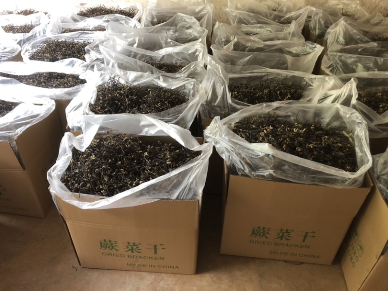 23年云南丘北县蕨菜干