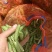 豌豆，豌豆荚，青豌豆，豆质饱满，产地直供。