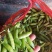 豌豆，豌豆荚，青豌豆，豆质饱满，产地直供。