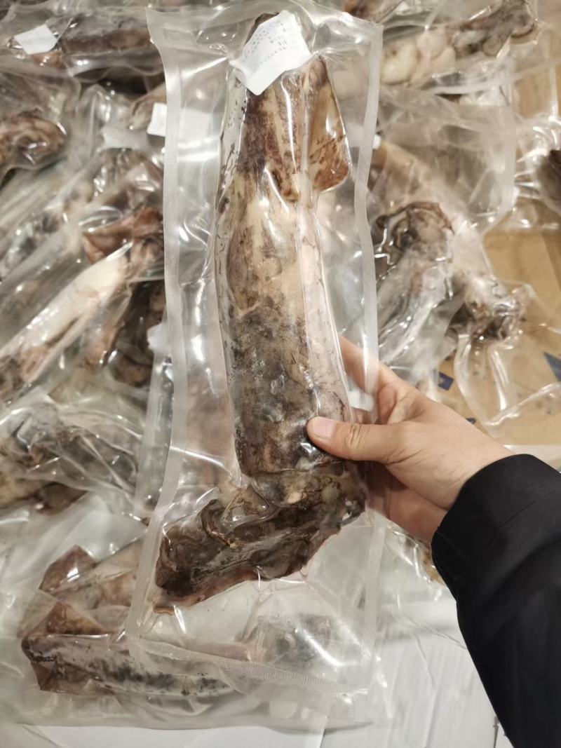 鱿鱼商用整盘鱿鱼，货源充足，产地直发，可视频看货